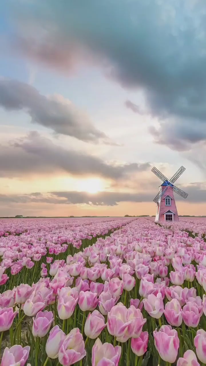 1000+ Nature Reels Bundle | Viral Nature Videos Pack | Instant Download – AmyWorld